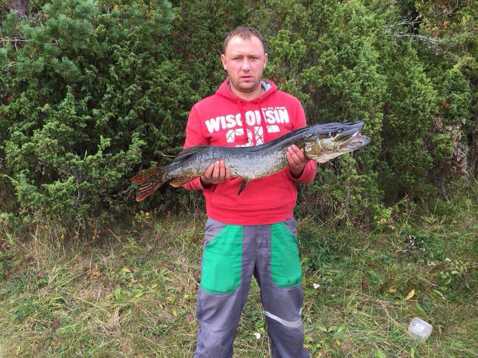 Рыбак А. Тарасенков.