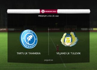 «Таммека» на подъёме!