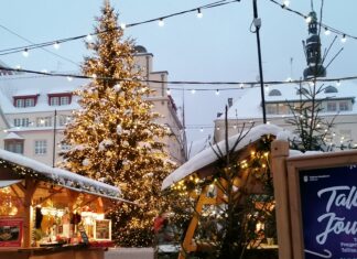Всех земных благ Вам! С НОВЫМ ГОДОМ!
