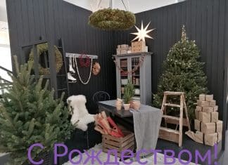 С Католическим Рождеством!